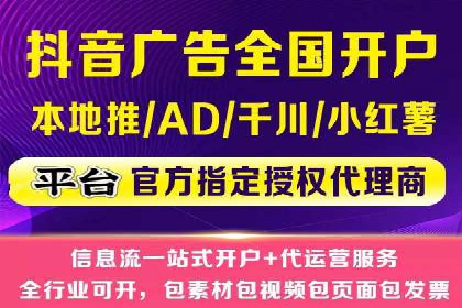 SEM托管服务案例：优化策略与效果展示